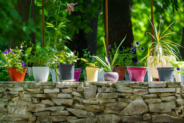 Pflanzenständer & Blumenregale