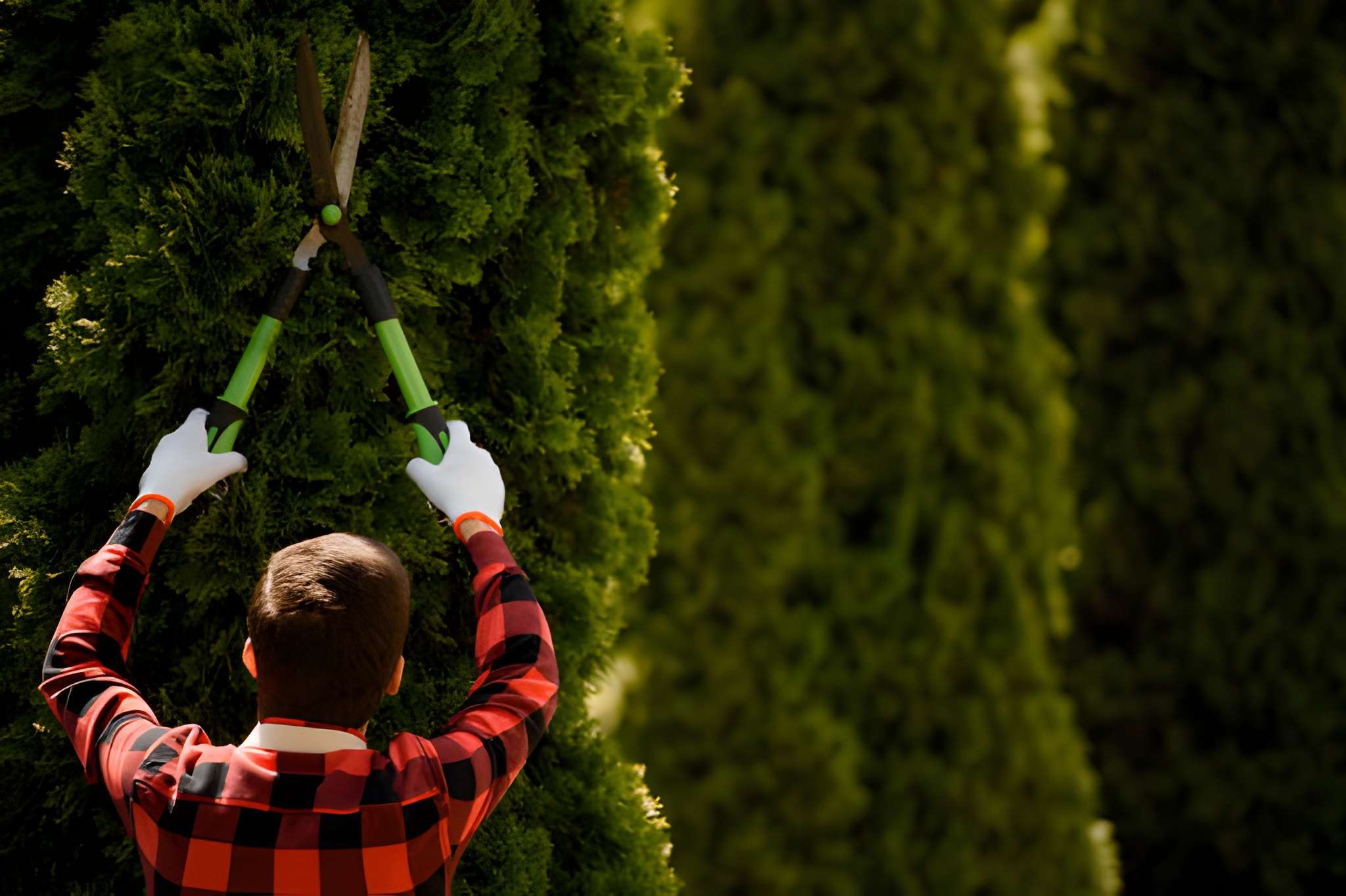 slider image 1620813069167db316-0